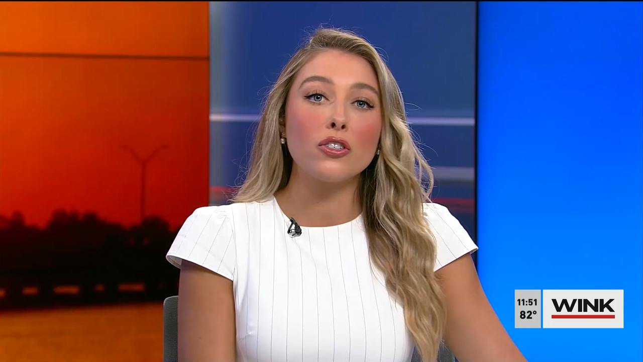 04.02 - 16.30.00 - WINK NEWS at 11 30am  ᴺᵉʷ. Midday news..ts_snapshot_28.05.595