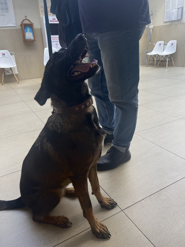 32C43F43-B2BB-498A-B3E9-0CAD1C274444