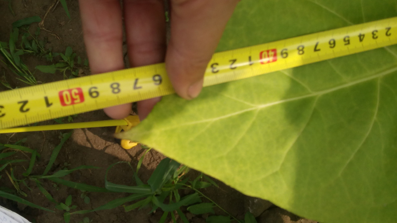 ТЕ?НОПОЛЬСКИЙ-14 3а