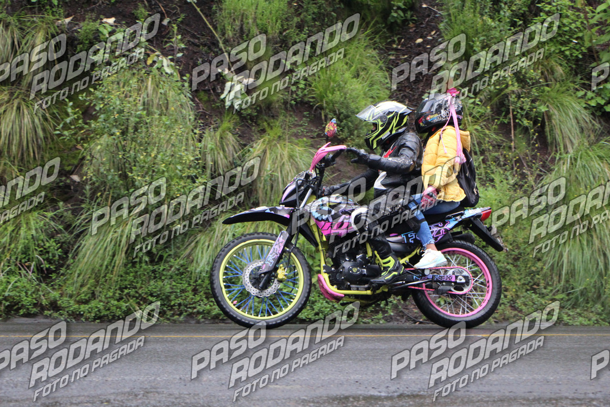 IMG 6294 wm 125957 09999999963 watermarked — Postimages