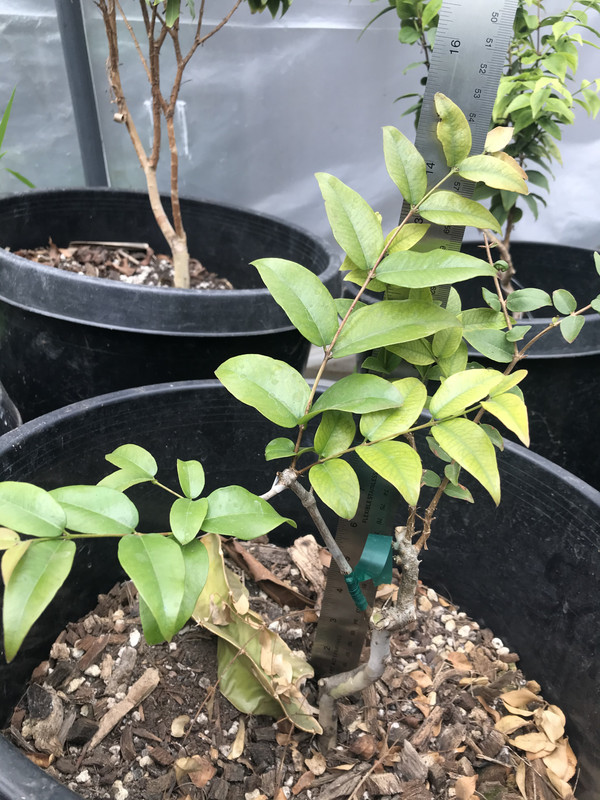 1C414E9A-CB19-47DE-9D33-37E9601BD47F