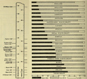 IMG_20250319_205647_950