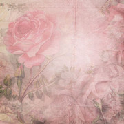 Tumblr l 502345912488682