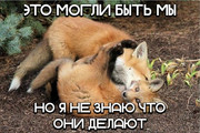 dc05caecfb8f202f4c155bf274e4b921.jpg