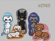 7. Doberman siblings ©271421@Wolfplay