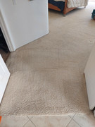 Carpet Cleaning Service in Vista