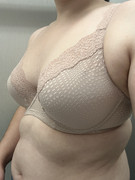 Natori-Beyond-34DD-2