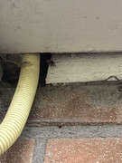 1BD16F25-7E94-40CD-AEE7-60EDA6FCCFAE