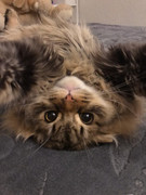 788e219c-5b84-434a-949d-e9cac99615c3