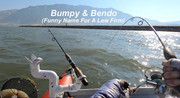 [Image: BUMPY-BENDO.jpg]
