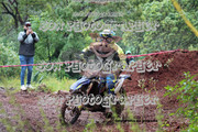 IMG-6474
