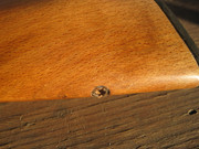 IMG_0096 - копия