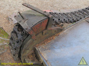 IMG-6138