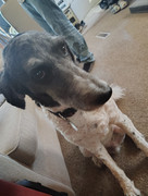 IMG_20250919_094650545_HDR