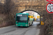 IMG-5146