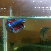 IMG_20190710_220340_442