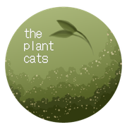 export202410140613050017