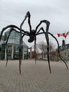 IMG_20210504_143145_077