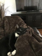 8E814133-500E-4803-8722-2CA0051DF3ED