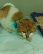 IMG_20230404_140811_221