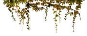 TADD_elements_Autumn_Fairy_Tales_28