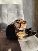 photo-2025-11-17-11-13-01-(4)