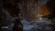 44894376