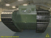 IMG-6820