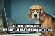 Activate Snow White