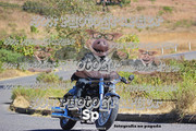 IMG-2395
