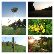 dziendobrydzisbedziegoraco