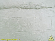 IMG-7206