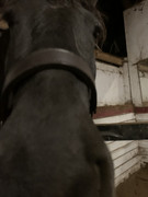 59E5F605-EDBF-4445-B427-840A308D4BF0