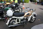 IMG-3996
