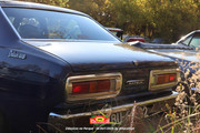 IMG-7366