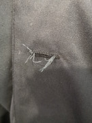 IMG-20230427-124913