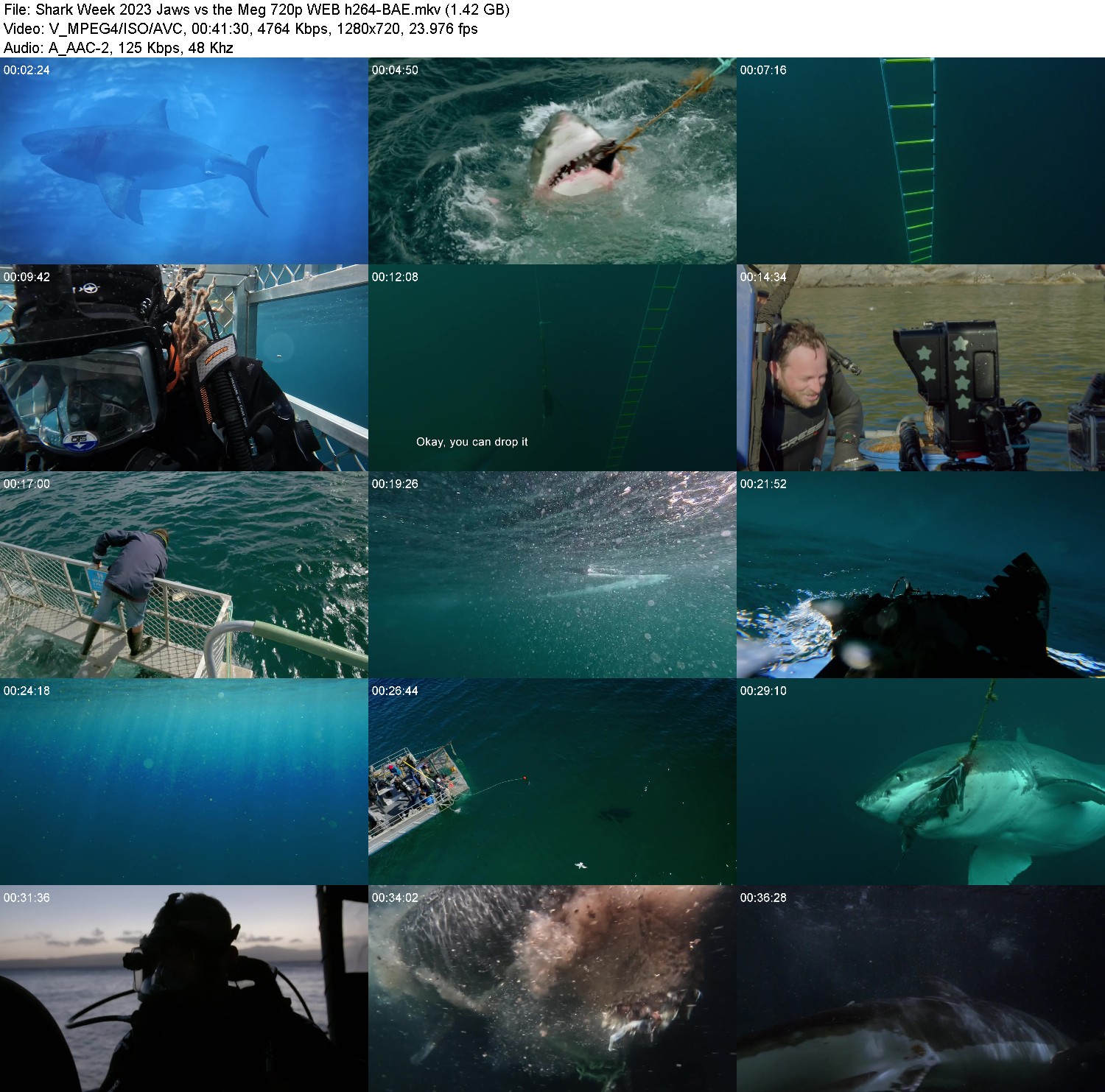 [Image: ho79bi36icfa.jpg]