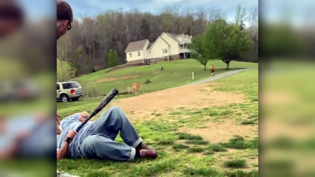 [Image: 0rsnq0o9yy2z.png]