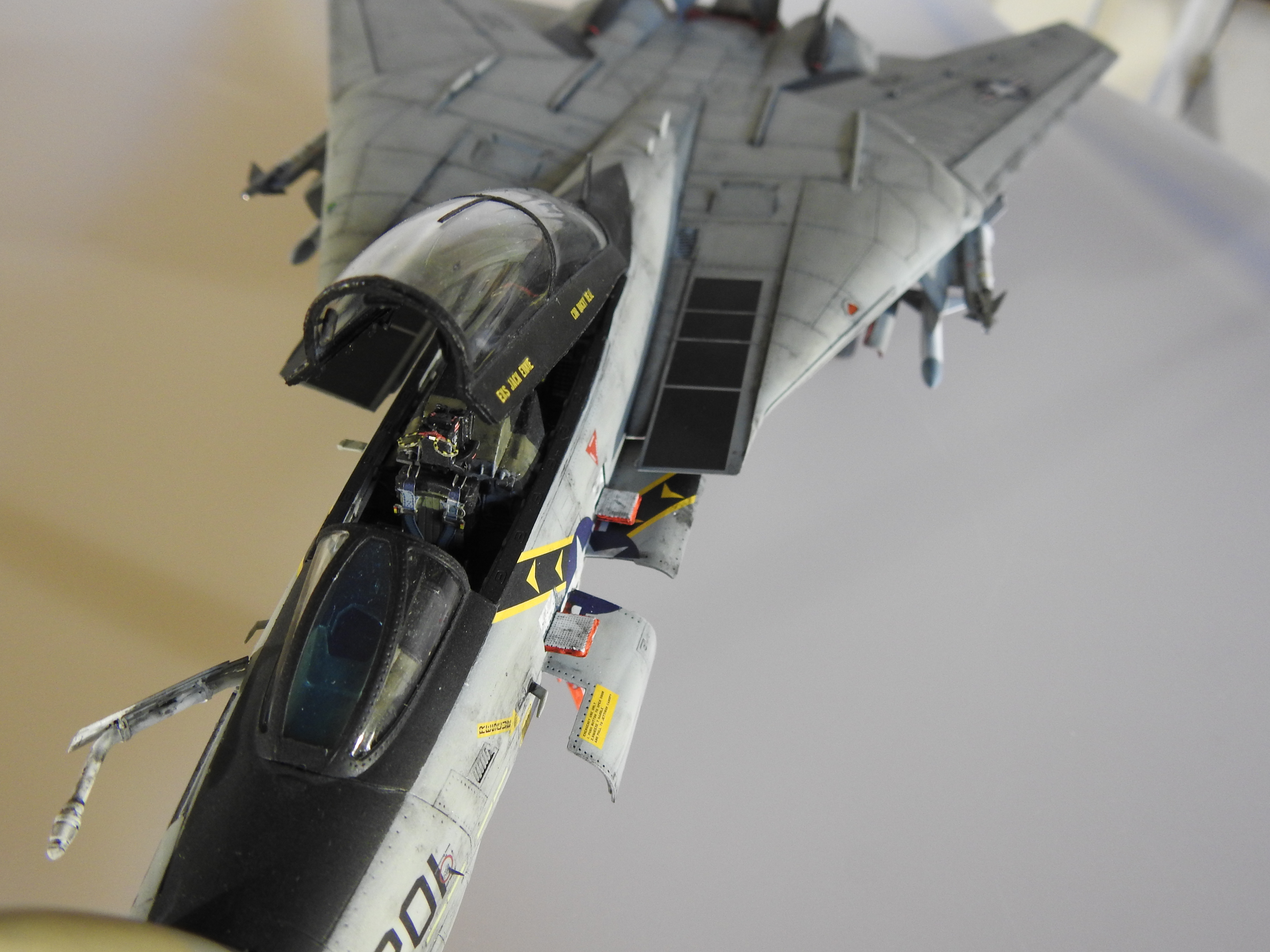 F-14A Danger Zone, Eduard, 1/48 - Klar DSCN7317