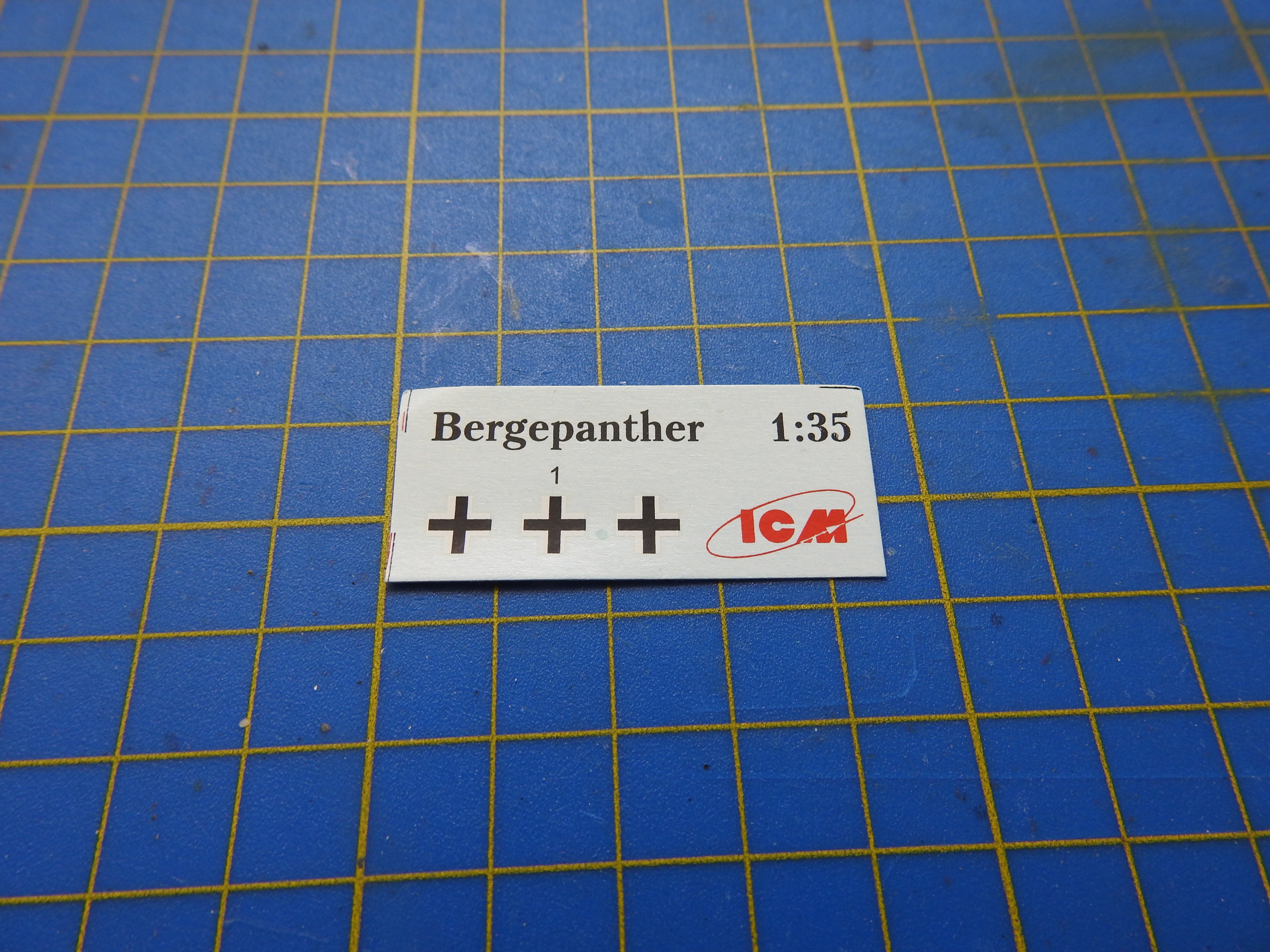 Bergepanther, ICM, 1/35 DSCN7359