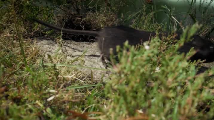 [Image: ej9ng5hd7mi1.jpg]