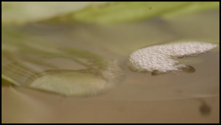 [Image: m6vpthdr1d52.png]