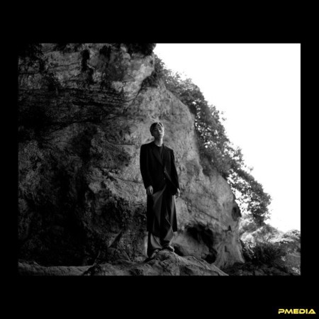 Rikuto Fujimoto - Distant Landscapes (2024)