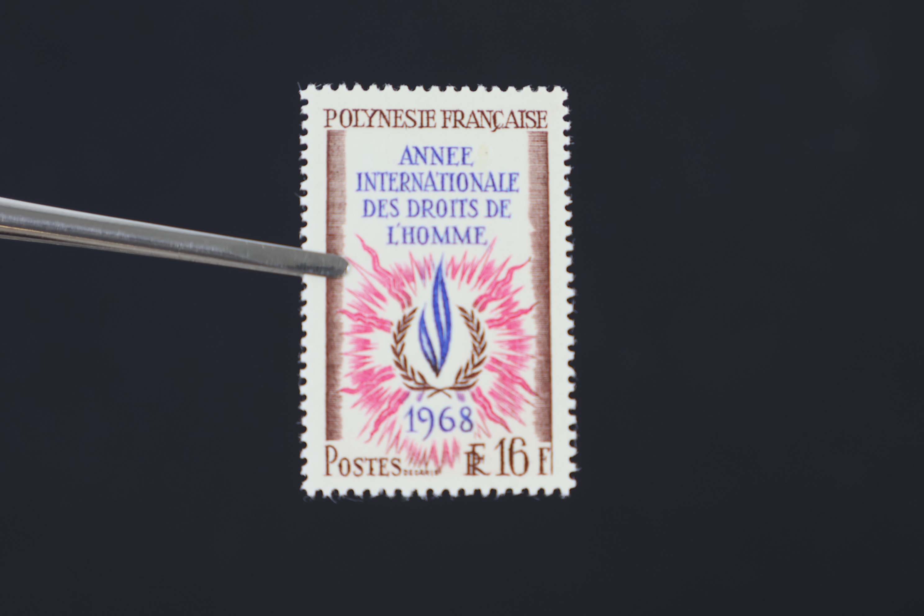 IMG-6140