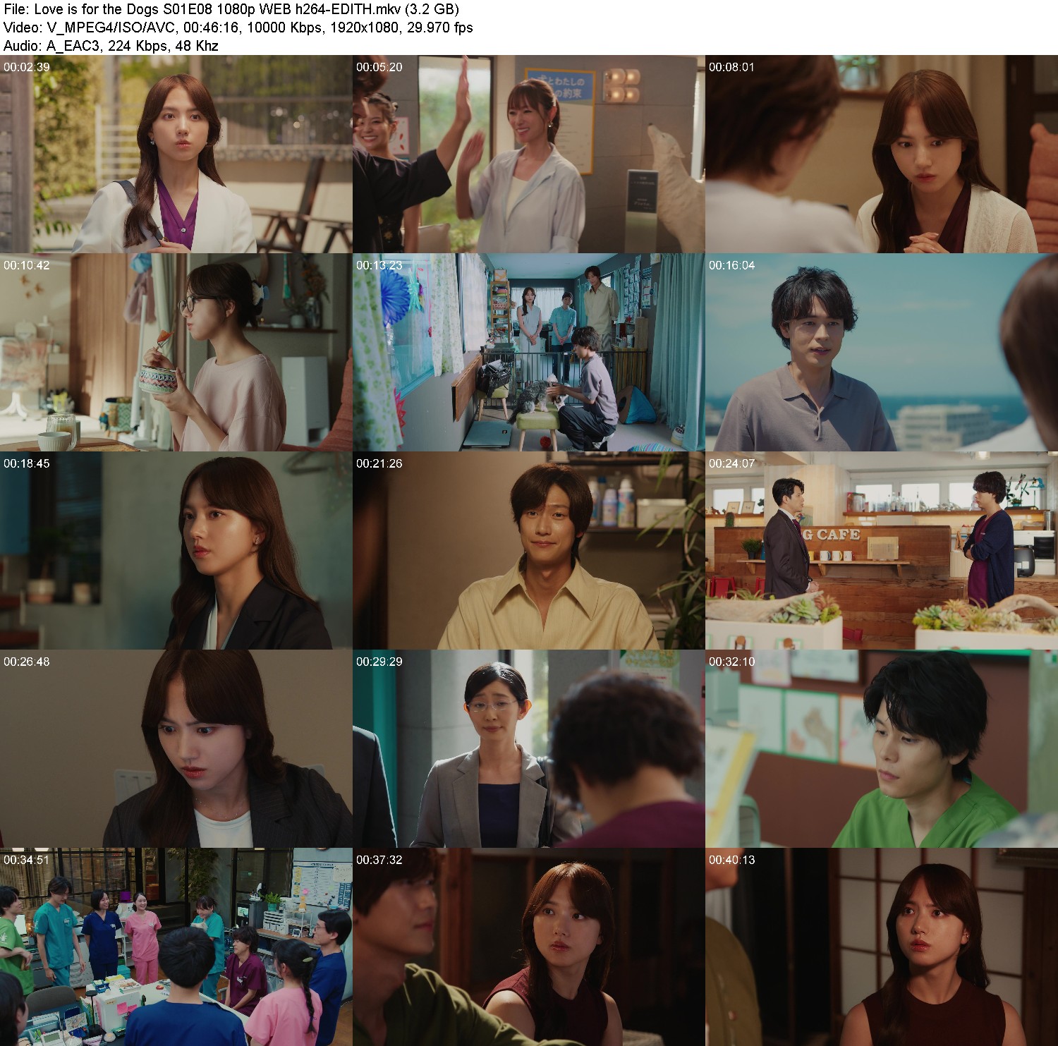 [Image: bvr2lmn2w4n4.jpg]