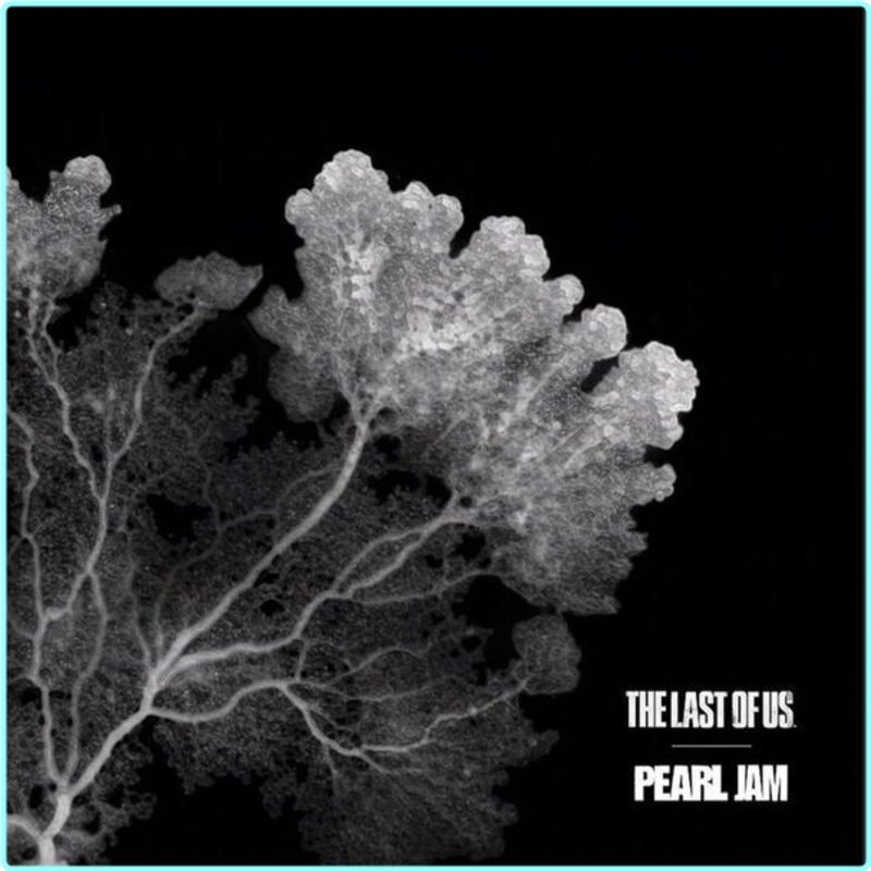 [Image: bw1pe0s23biy.png]