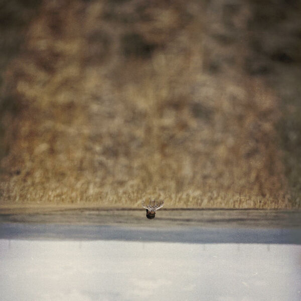 [Image: pofxx4n2u5l8.jpg]