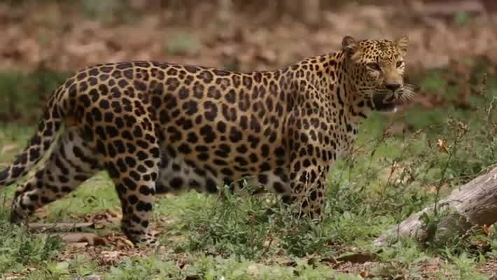 [Image: rw7tw41wyl5n.jpg]