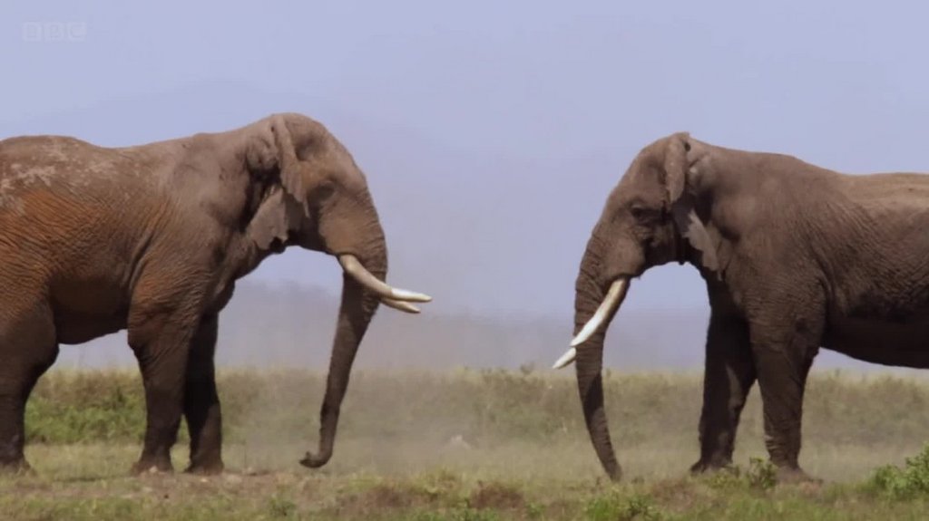 [Image: bdr77r54bwon.jpg]