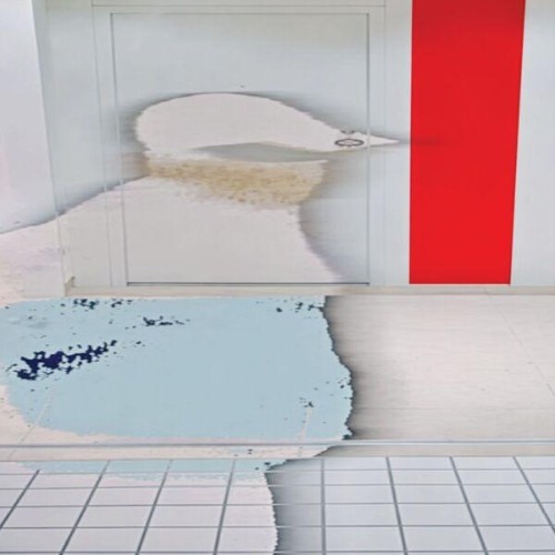 Eter Dex - Oslas 8x (2026)